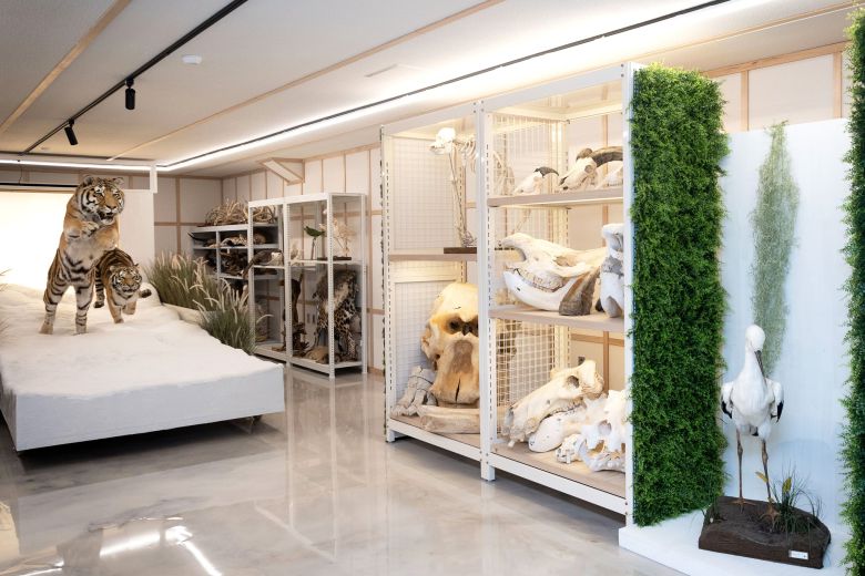 동물 박제와 기타 표본이 자리한 수장고는 리모델링을 거쳐 보이는 수장고로 새롭게 선보였다. 사전 교육 예약자에 한해 보이는 수장고를 관람할 수 있다. 장진영 기자