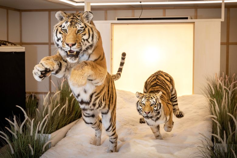 윤 박제사가 수장고의 수달 표본을 관리하고 있다. 장진영 기자