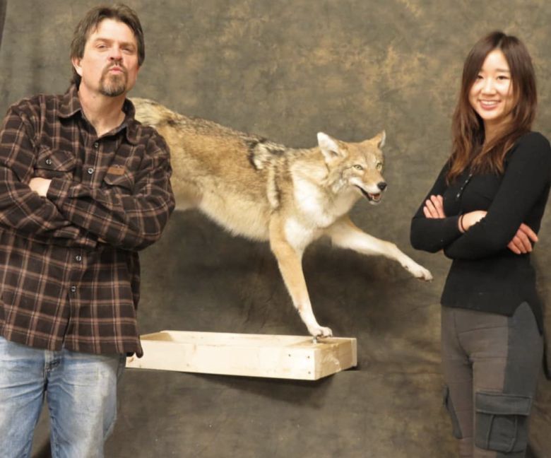 시베리아 호랑이 코아와 한울이. 시베리아 벌판을 표현한 생태환경 디오라마에는 개체의 발자국도 생태 특성을 파악해 표현했다. 장진영 기자