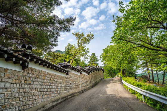 청와대 춘추관 뒷길에서 청와대 전망대로 올라가는 길. 30분이면 백악정에 닿는다. 사진 서울관광재단