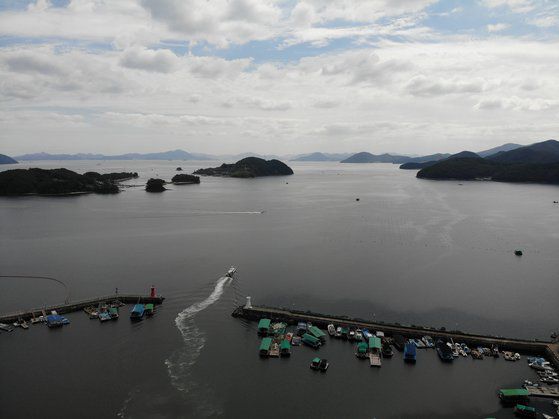 남해 진해만의 빈산소 발생 해역을 수중 카메라로 촬영한 모습. 사진 김일남 인천대 교수
