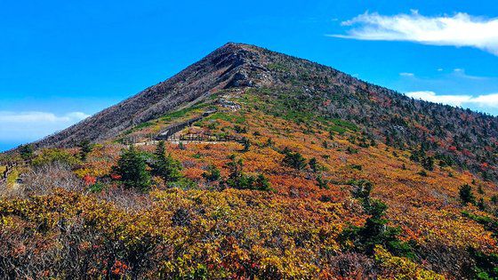 강원지방기상청은 설악산의 첫 단풍이 29일 시작됐다고 발표했다.   사진은 중청대피소에서 바라본 대청봉 일원의 단풍 모습이다. 연합뉴스