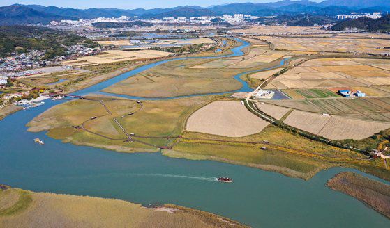 코로나19가 기승을 부린 2020년 10월 전남 순천시 순천만 습지 인근 논에 '힘내라, 대한민국'이라는 글귀와 함께 흑두루미가 논아트로 그려져 있다. 연합뉴스