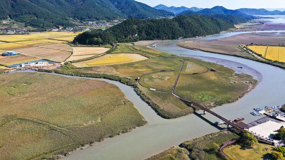 지난 26일 오후 전남 순천시 ‘순천만정원’ 상공에서 바라본 전경. 2013년 제1회 국제정원박람회장으로 사용된 국내 최대 규모의 인공정원이자 대한민국 첫 국가정원이다. 프리랜서 장정필