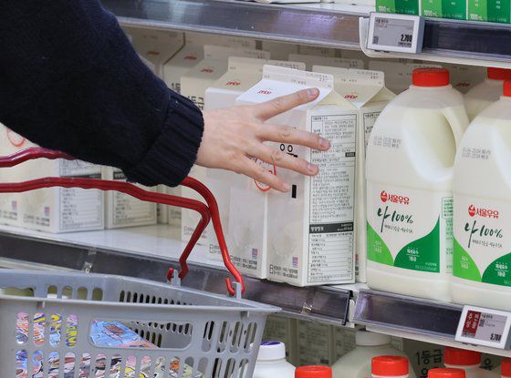 지난 3일 낙농진흥회는 우유 원유 기본가격을 L(리터)당 999원으로 올려 연말까지 적용하기로 결정했다. 사진은 6일 서울 시내 한 대형마트에 우유 매대. 연합뉴스