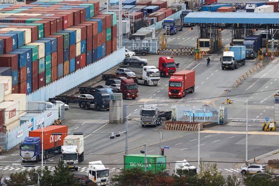 민주노총 공공운수노조 화물연대본부(화물연대)가 총파업을 철회한 가운데 지난 12일 오전 부산 남구 부산항 용당부두에 화물차량들이 운행으로 분주한 모습을 보이고 있다. 뉴스1