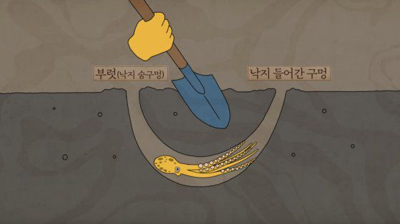 다큐멘터리보다 더 폭넓은 대중을 대상으로 하는 예능 프로그램이라, 눈으로 구별이 어려운 작업은 그래픽으로 설명을 넣어 이해를 도왔다. 어려운 용어도 말로 쉽게 풀어냈다.사진 넷플릭스