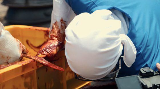 고추장, 된장을 장독에서 퍼내는 단순한 일도 실제로 하면 고된 노동이다. 밀착해서 찍는 카메라도 방해가 될 정도다. 사진 넷플릭스