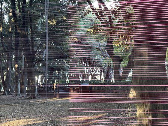 제주 시조의 신화를 간직한 공간 삼성혈 숲에 설치된 신예선 작가의 작품 '움직이는 정원'. 이은주 기자