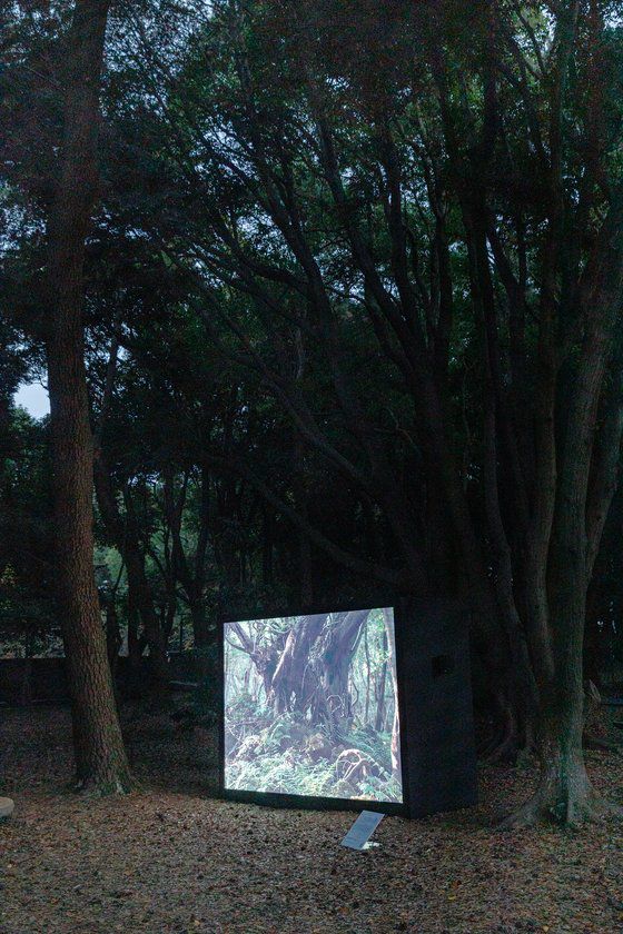 삼성혈에 설치된 박지혜의 '세 개의 문과 하나의 거물'. 제주 신화에서 출발한 영상작업이다. 제주비엔날레