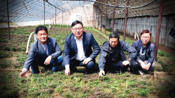 중국 단둥에서 북한에 지원할 묘목을 보고 있는 (왼쪽부터) 안부수 아태협회장, 이화영 전 경기도 평화부지사. 안부수 회장은 2018년 12월 중국 단둥에서 이화영 전 경기도 평화부지사와 함께 북한의 조선아시아태평양평화위원회 관계자 등을 만났다. [사진 독자제공]