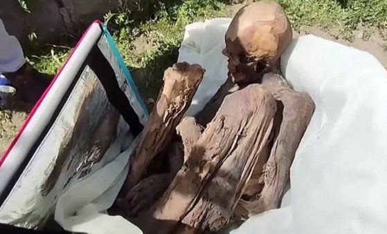 페루 한 남성 가방 속에서 발견된 미라. BBC 캡처