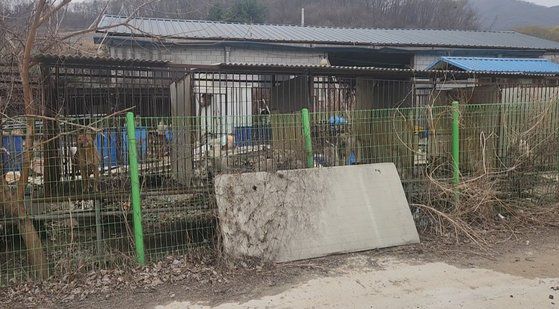 경기도 특사경이 지난 24일 경기광주 한 육견농장에서 동물 뼈 무덤을 발견했다. 사진 경기도