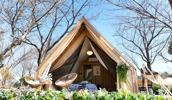 KTX 순천역과 순천만국가정원을 운항하는 '정원 드림호'. 프리랜서 장정필