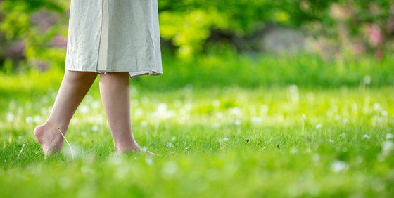 순천만 어싱길 조감도. 사진 순천시