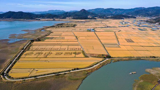 순천만 어싱길 이미지. 사진 순천시