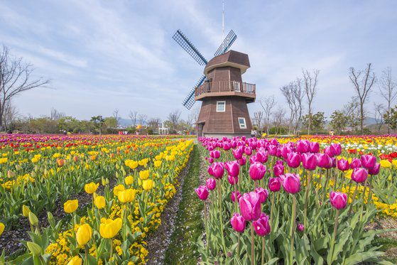 제2호 국가정원에 지정된 울산 태화강 국가정원 전경. 사진 울산시