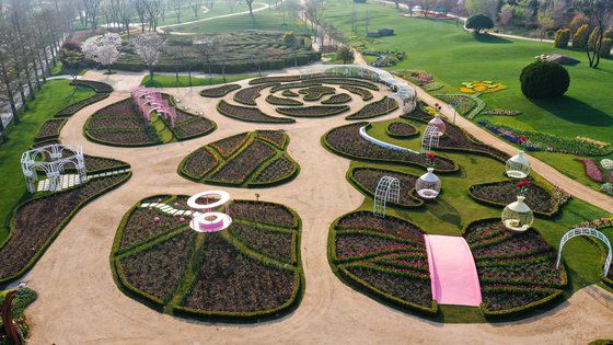 전남 순천시 ‘순천만습지’ 상공에서 바라본 전경. 2009년 전봇대를 뽑아낸 후 최대 규모의 흑두루미 서식지가 됐다. 프리랜서 장정필