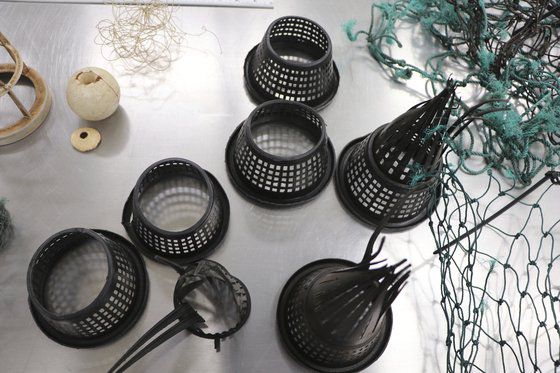 미국 하와이 국토천연자원부가 공개한 이 사진은 지난 2월 1일 하와이 카우아이 카운티의 리드게이트 해변에서 죽은 향유고래 몸에서 발견된 플라스틱 잔해를 보여준다. AP=연합뉴스