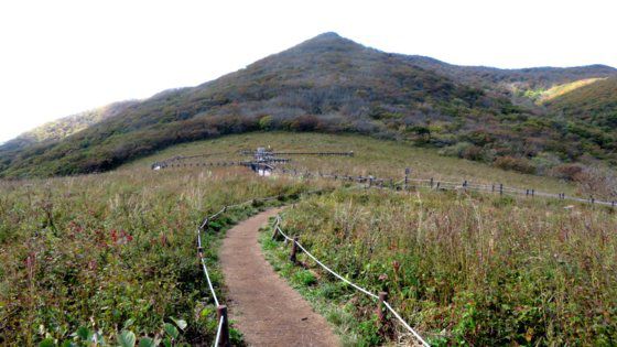 설악산 곰배골길. 국립공원공단