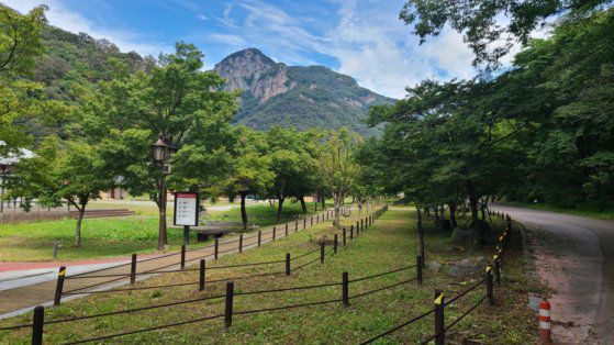 내장산 백양골길. 국립공원공단