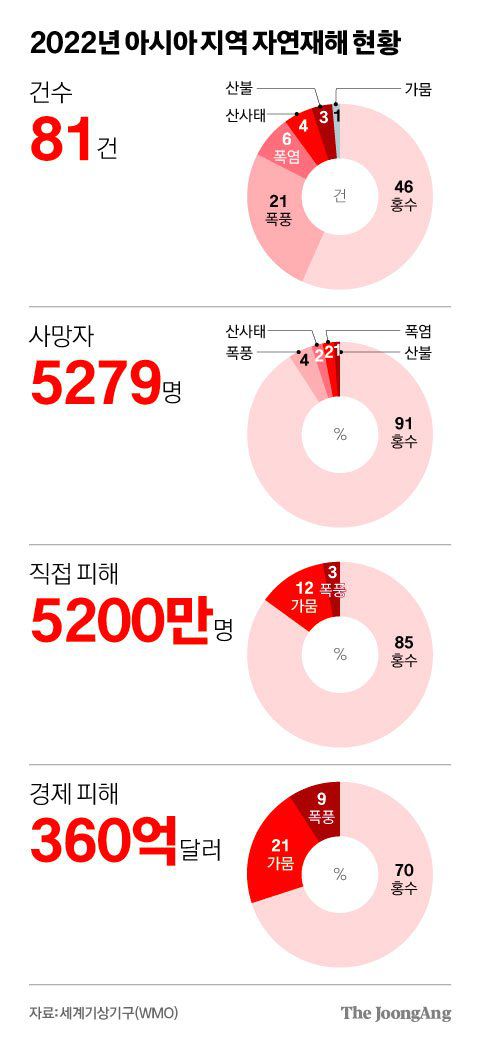 김영희 디자이너
