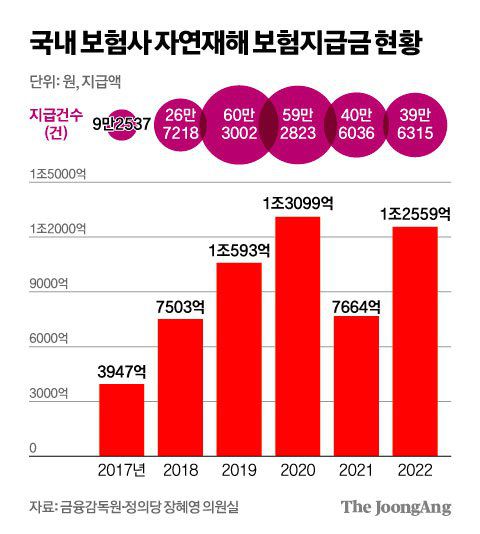 김영희 디자이너
