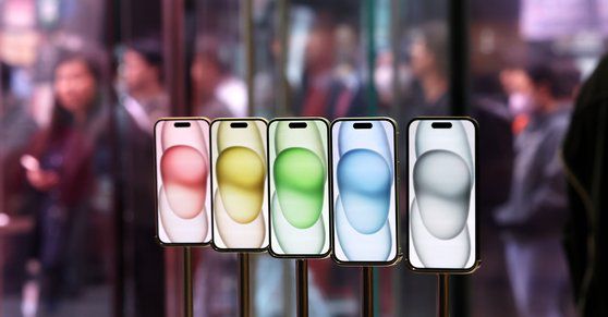 아이폰15 일반 모델. 뉴스1