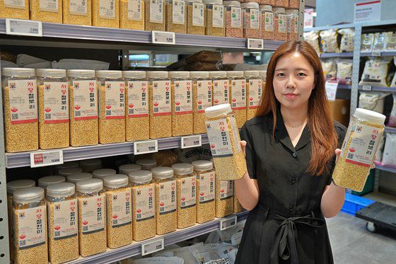 서울 송파구 제타플렉스 잠실점에서 박유승 롯데마트 과일팀 MD가 저당 찰보리와 찰현미 상품을 선보이고 있다. 사진 롯데마트