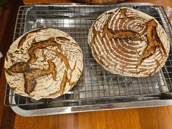 코로나 시기에는 직접 효모를 키워 빵을 구웠다는 지춘희 디자이너. 사진 폴인, 최지훈