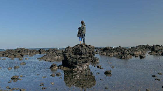 영화에서 민병훈 감독은 아내가 생각나 슬픔에 잠길 때면 숲으로 간다. 사진 엠라인디스트리뷰션