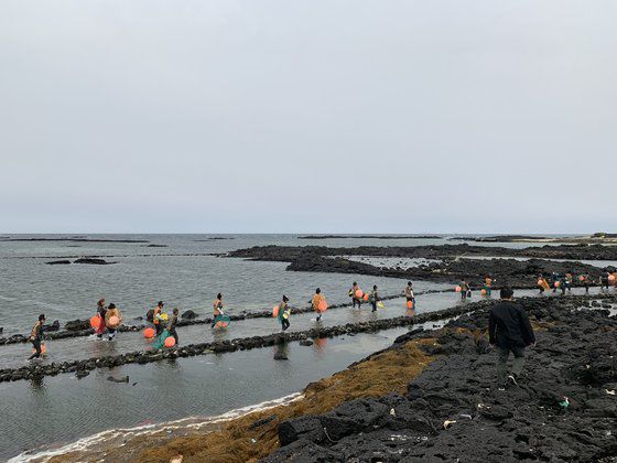 제주시 구좌읍 하도리 해녀길을 걸어 물질에 나서는 현직해녀들. 최충일 기자