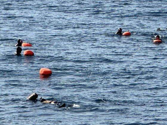 제주시 이호동 앞바다에서 물질 중인 현직해녀들. 최충일 기자