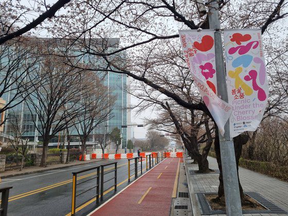 29일 여의도 봄꽃축제 첫날 벚꽃이 그려진 현수막이 휘날리는 모습.  비가 내리는데다 황사까지 겹치면서 길에서 사람을 찾아보기 어려웠다. 박종서 기자