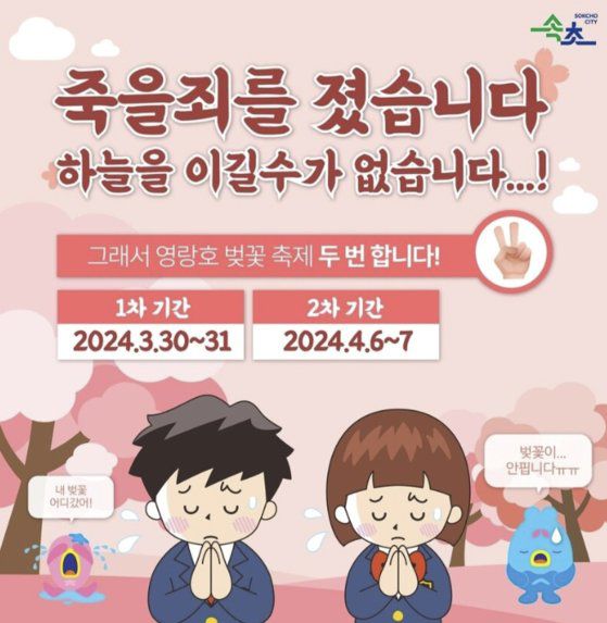 속초시 인스타그램에 올라온 축제 연기 관련 포스터. 속초시는 ″지난 20일 눈이 내리는 등 기상이 급변하면서 벚꽃 개화가 늦춰졌다″며 ″벚꽃이 피지 않았는데 벚꽃 축제를 할 수 없다는 판단 하에 이와 같은 결정을 내리게 됐다″고 밝혔다. 사진 속초시 인스타그램 캡처