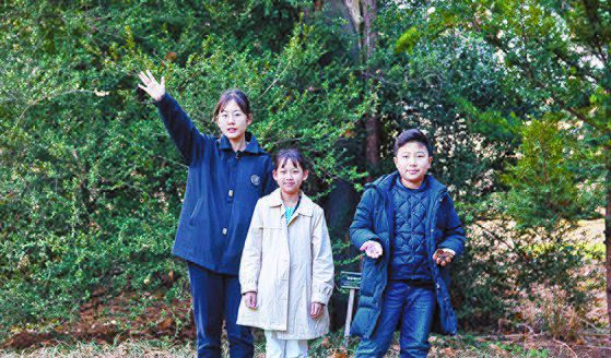 침엽수원 연필향나무를 살펴본 소중 학생기자단. 북아메리카 원산인 연필향나무는 고급 연필 재료로 많이 쓰인다.