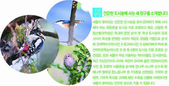 도시숲 조류 지표