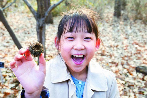 지난가을 도토리가 빠져나간 도토리송이를 들어 보인 원지민 학생기자.