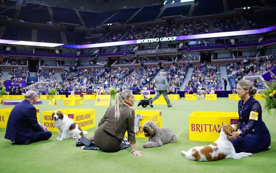 작업견 분야의 경우, 업무 효율성은 주요한 평가 기준이다. 로이터=연합뉴스