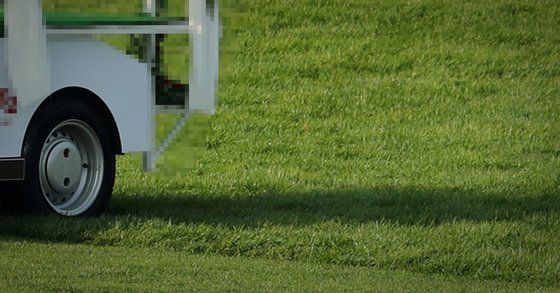 골프장 위 카트 이미지. [뉴스1]