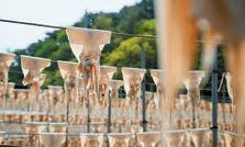 경북 영덕에 위치한 성신수산의 오징어 덕장.