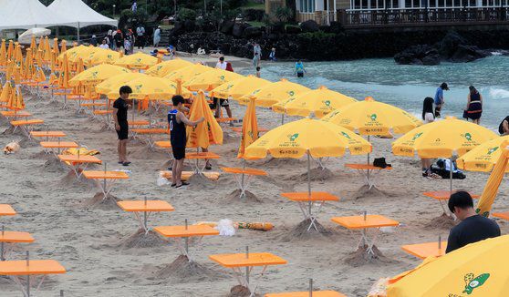 제주도 내 5개 해수욕장의 조기개장을 하루 앞둔 지난달 23일 제주시 조천읍 함덕해수욕장에서 관계자들이 파라솔을 설치하고 있다.   연합뉴스
