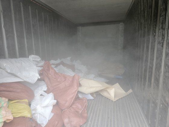 19일 오후 경기 여주시에서 로드킬을 당한 새끼 고라니와 고양이. 사진 장영상씨 제공