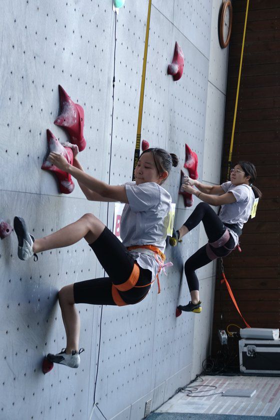 지난 9월 7일 전북 남원시 춘향골체육공원에서 열린 남원시장배 전국동호인 스포츠클라이밍대회 결선 중 기자가 7m나 추락하고 있다. 동영상을 캡처해 확대한 사진이다. 김홍준 기자