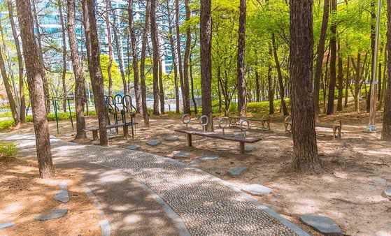 대전 서구 관저동 신선암 근린공원에 조성된 산책길. [사진 대전시]