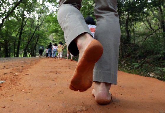 대전 대덕구 계족산 황톳길에서 어린이집 원생들이 맨발 걷기 체험을 하고 있다. 뉴스1