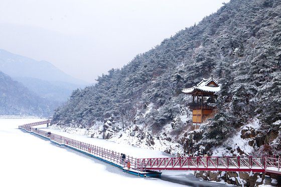 경북 구미시 금오산올레길 모습. 사진 구미시
