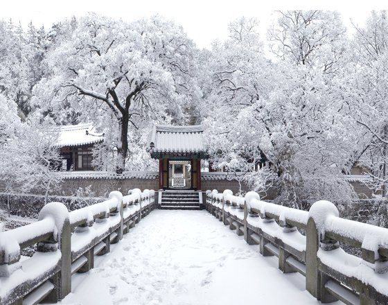 경북 구미에 있는 채미정. 사진 구미시