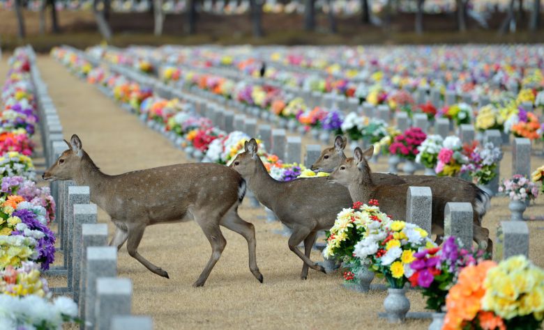 프리랜서 김성태
