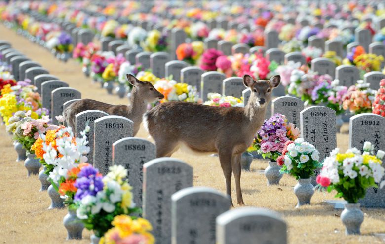 프리랜서 김성태